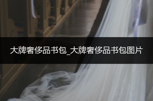 大牌奢侈品书包_大牌奢侈品书包图片