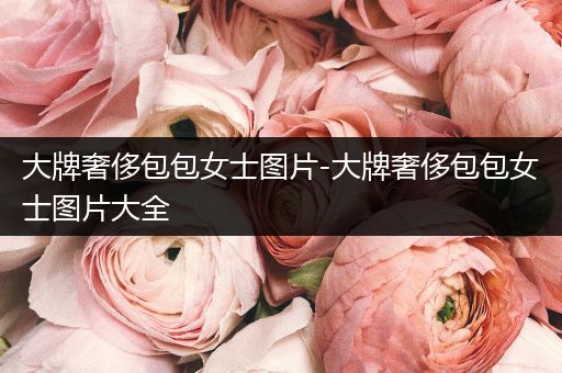 大牌奢侈包包女士图片-大牌奢侈包包女士图片大全