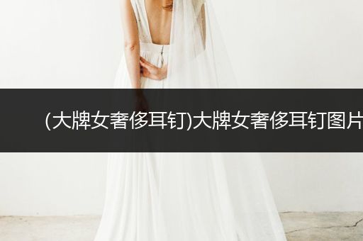 （大牌女奢侈耳钉)大牌女奢侈耳钉图片