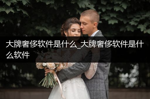 大牌奢侈软件是什么_大牌奢侈软件是什么软件