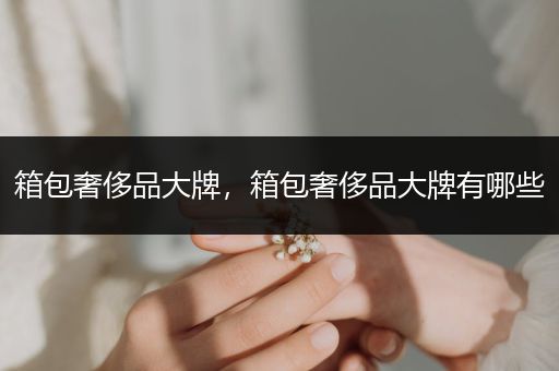 箱包奢侈品大牌，箱包奢侈品大牌有哪些